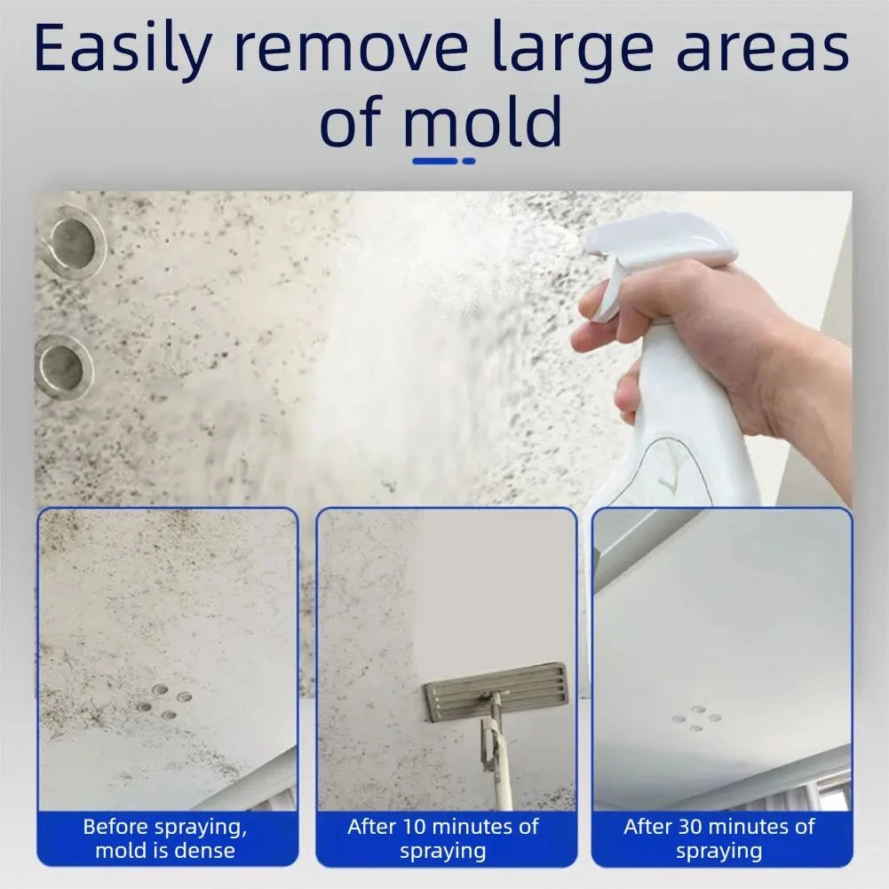 240ML Wall Mold Remover Spray – Powerful Mildew & Anti-Mold Cleaner